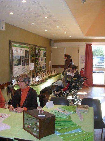 Expo champignons a St Leger 43